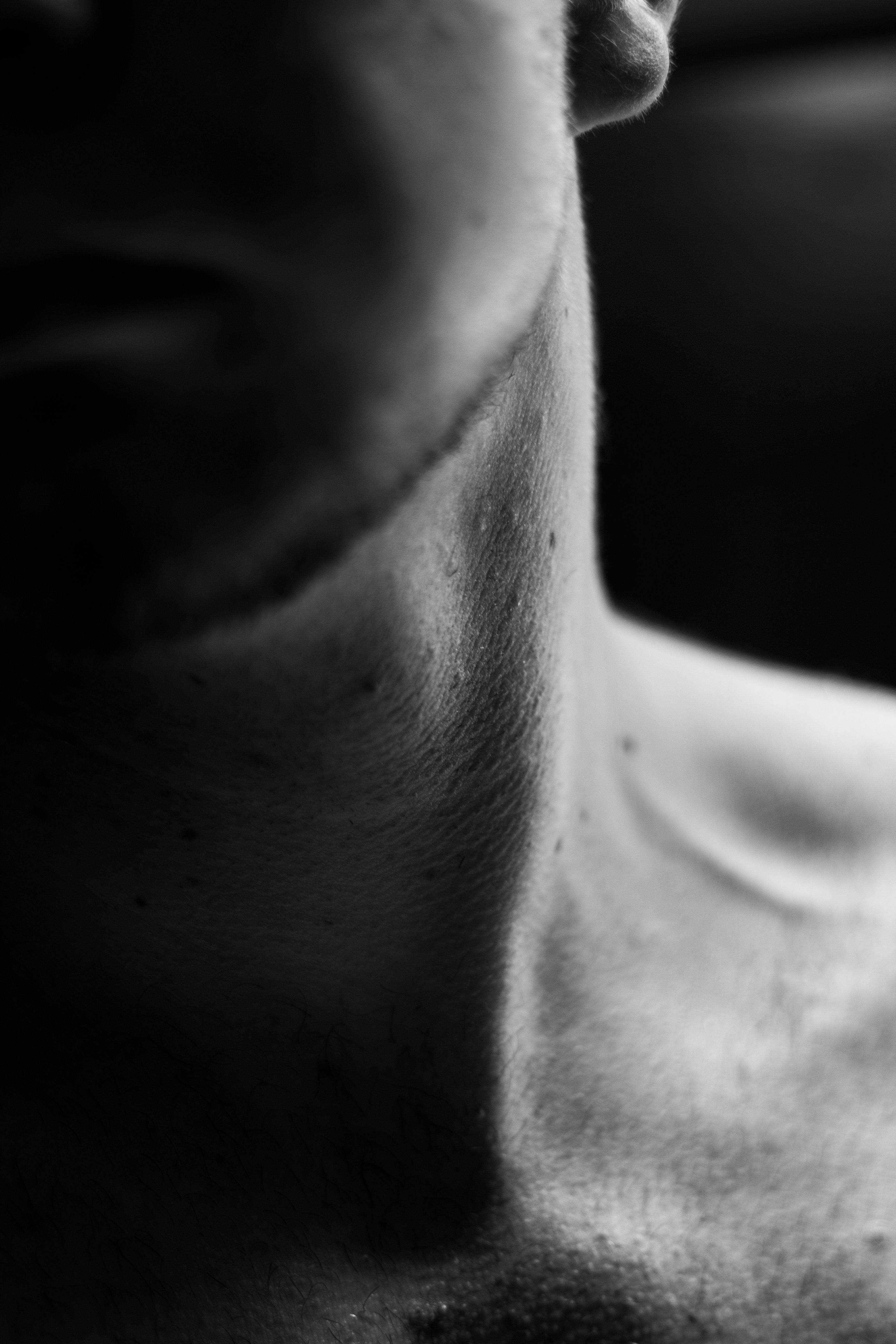 Editorial CENIZA — perfil y cuello